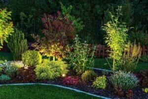 Install Night Lights In Your Yard