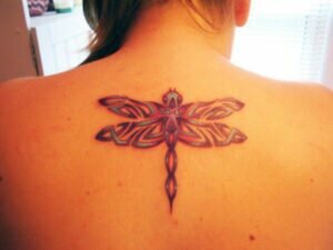 Dragonfly Tattoo Meaning