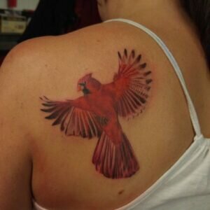 Cardinal Tattoo Meaning